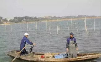 聚焦水韻江蘇 環保技術驅動，多地水污染防治成效顯著