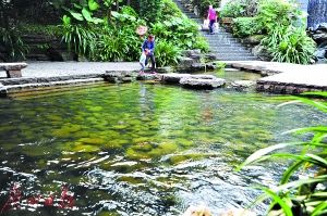 2017年廣州市兩會 水務局預算劍指水污染治理，高效著力環保技術開發服務